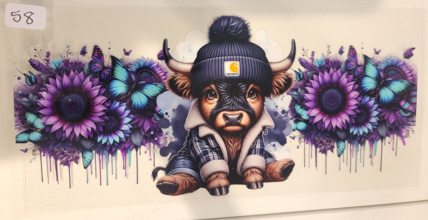 Highland Cows 58
