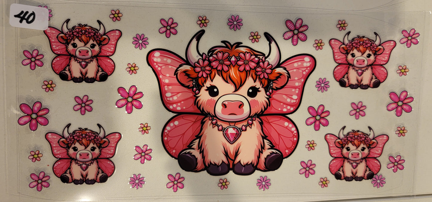Highland Cows 40