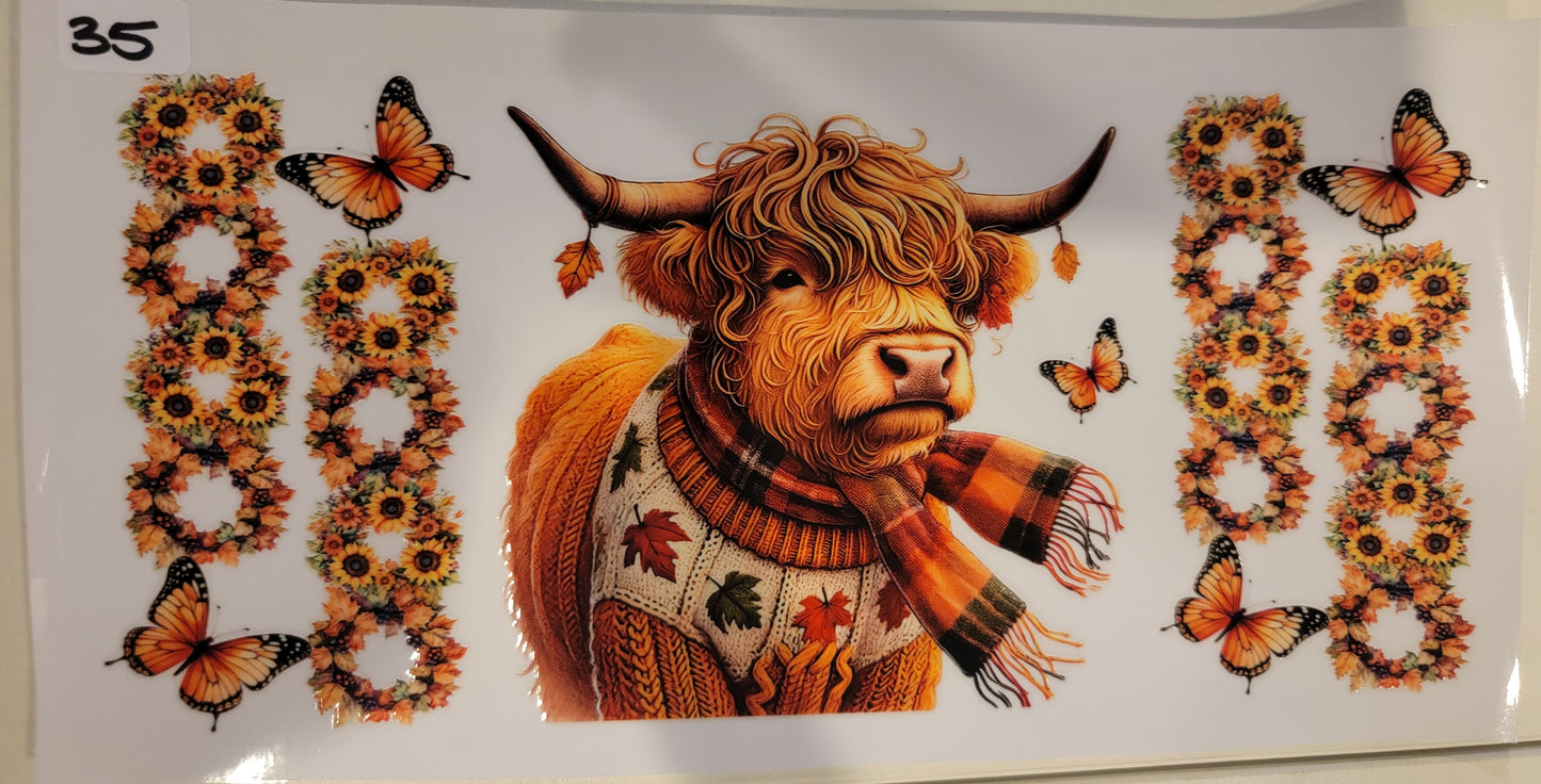 Highland Cows 35