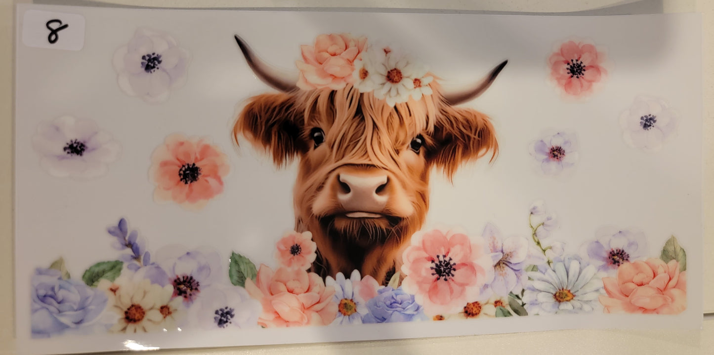 Highland Cows 8