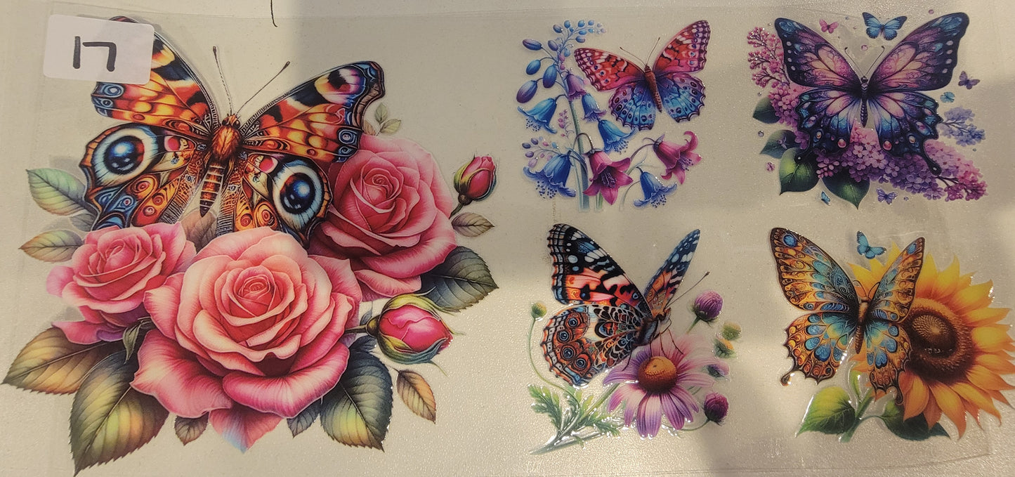 Butterflies, Insects & More 17