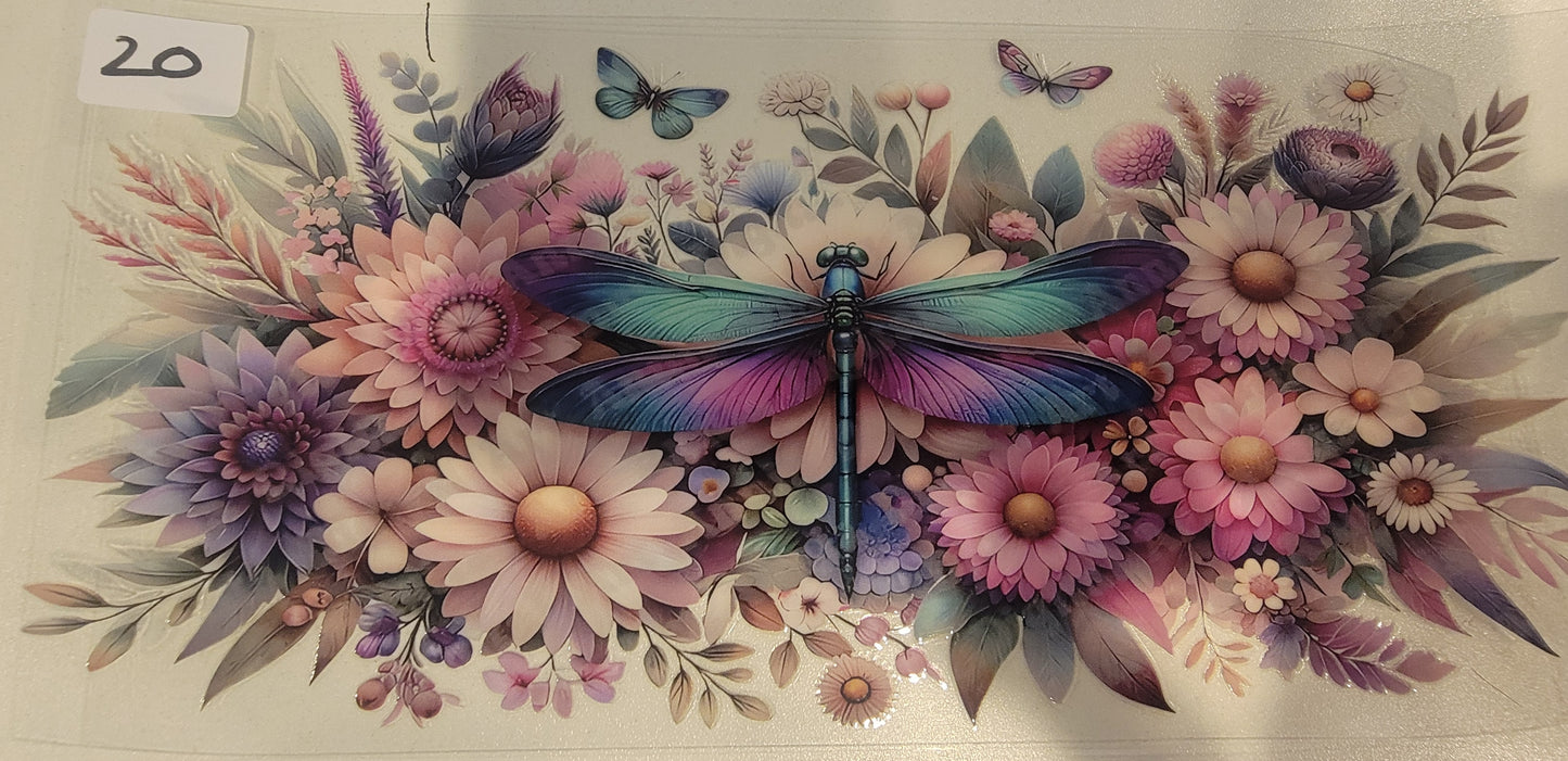 Butterflies, Insects & More 20
