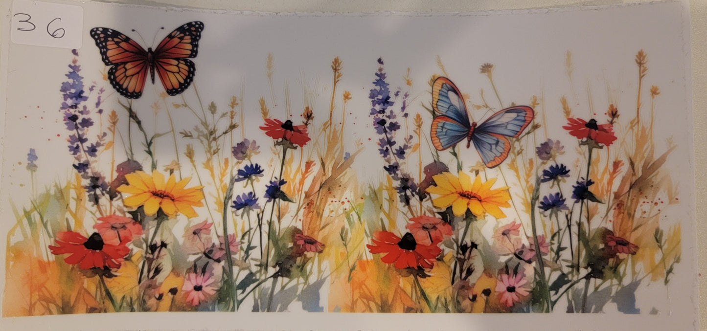 Butterflies, Insects & More 36