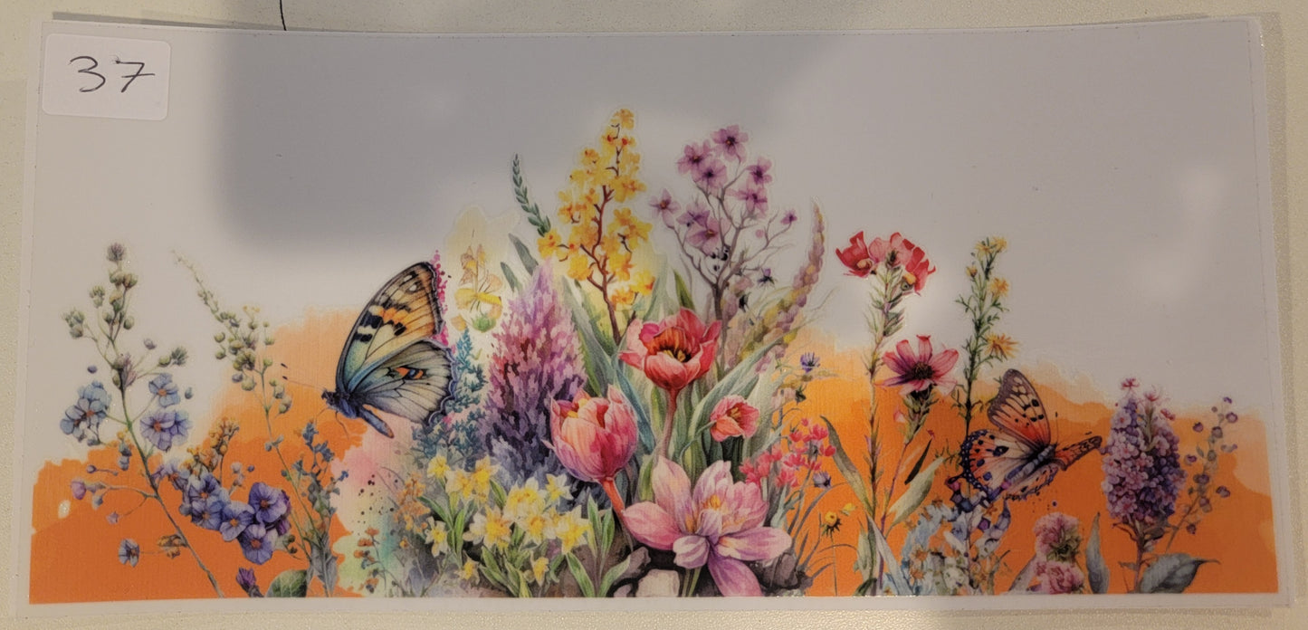 Butterflies, Insects & More 37