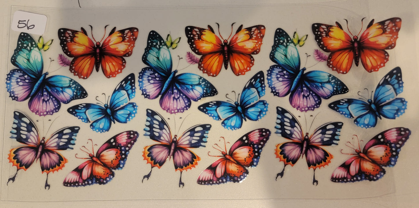 Butterflies, Insects & More 56