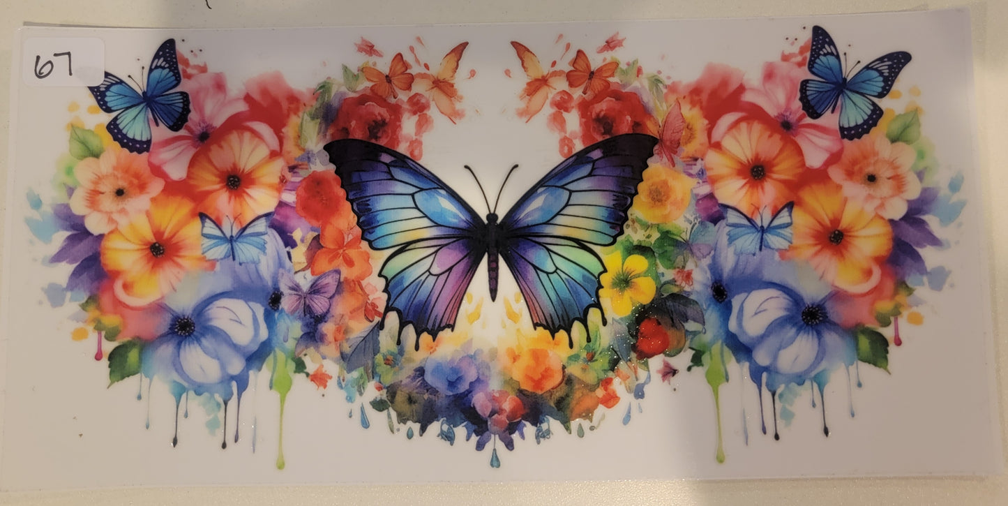 Butterflies, Insects & More 67