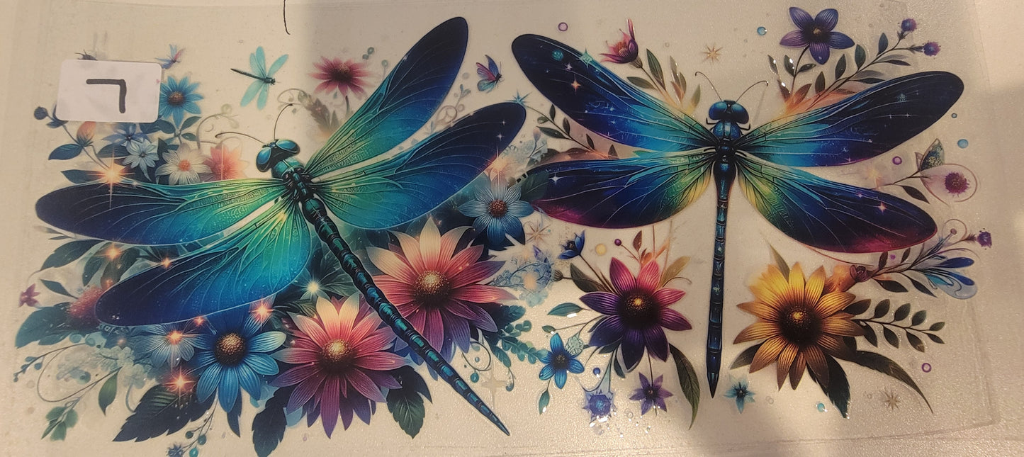 Butterflies, Insects & More 7