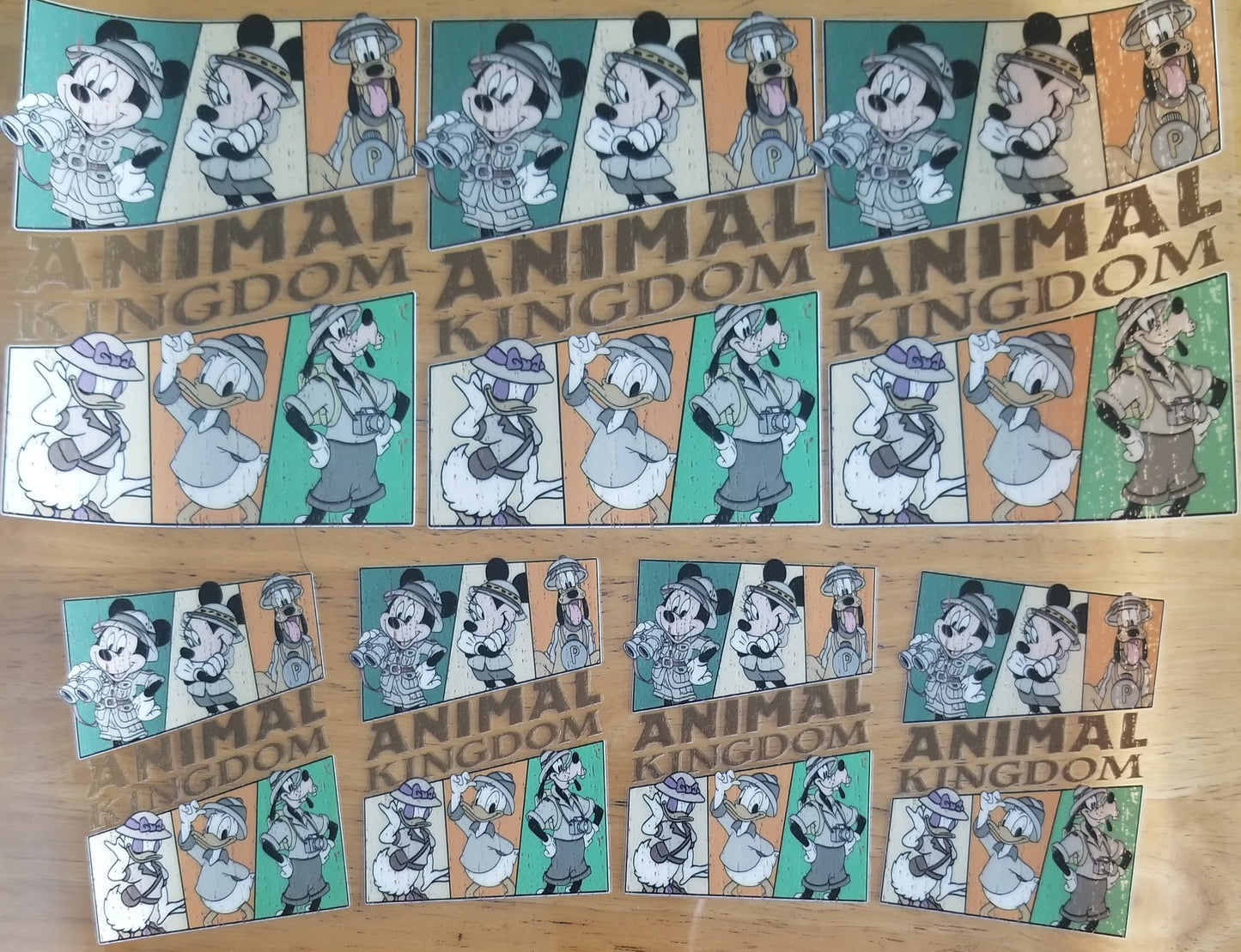 VDTFDW- 40 Oz UVDTF Wraps |Disney Animal Kindom