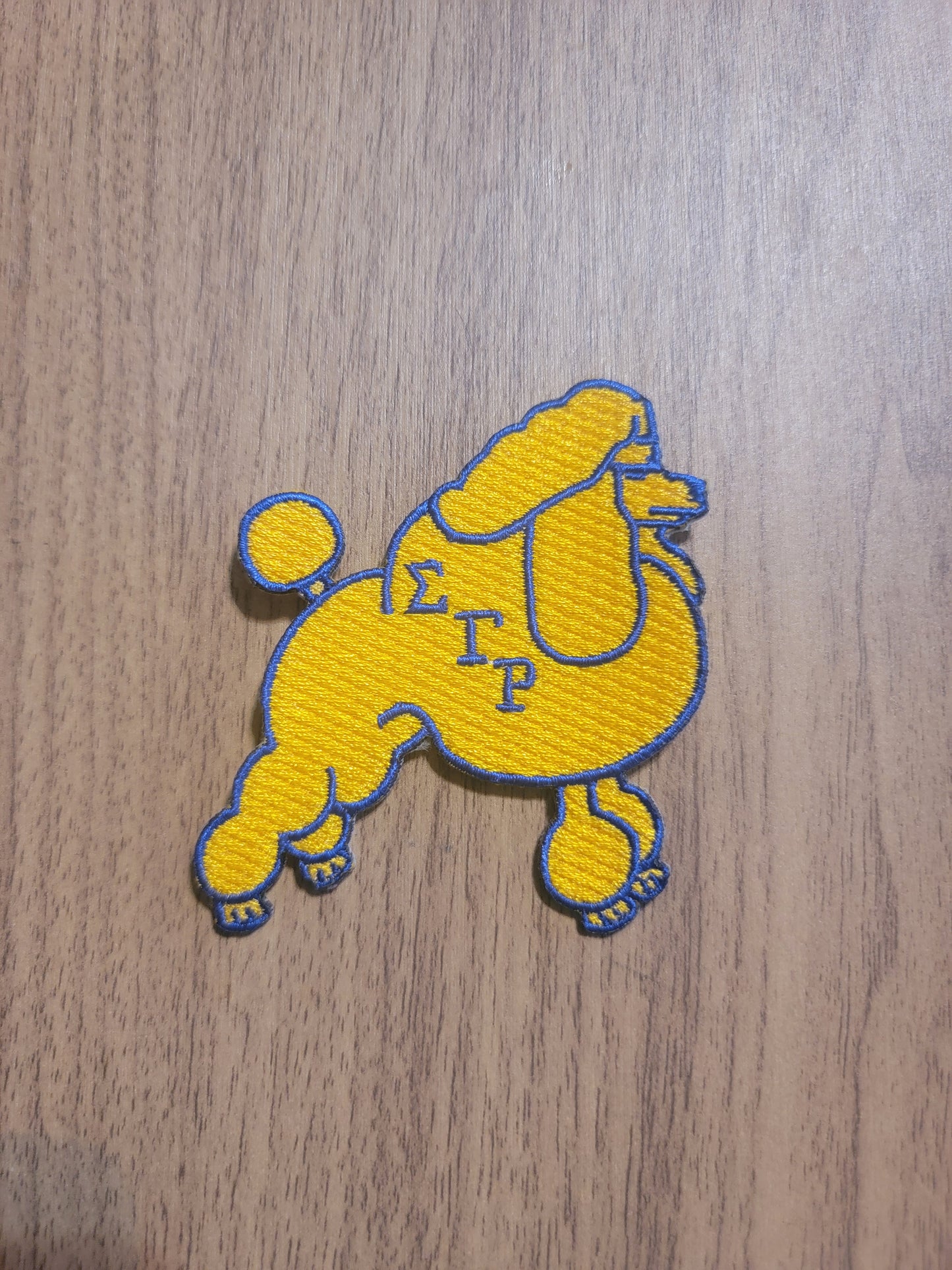 VDTFDW- Sigma Gamma Rho- Iron on Patch 3