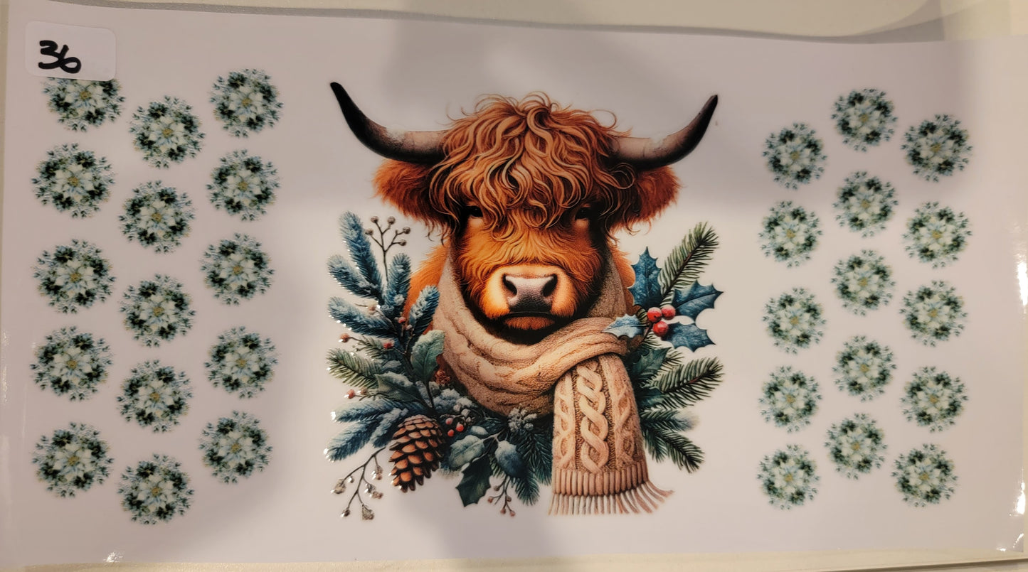 Highland Cows 36