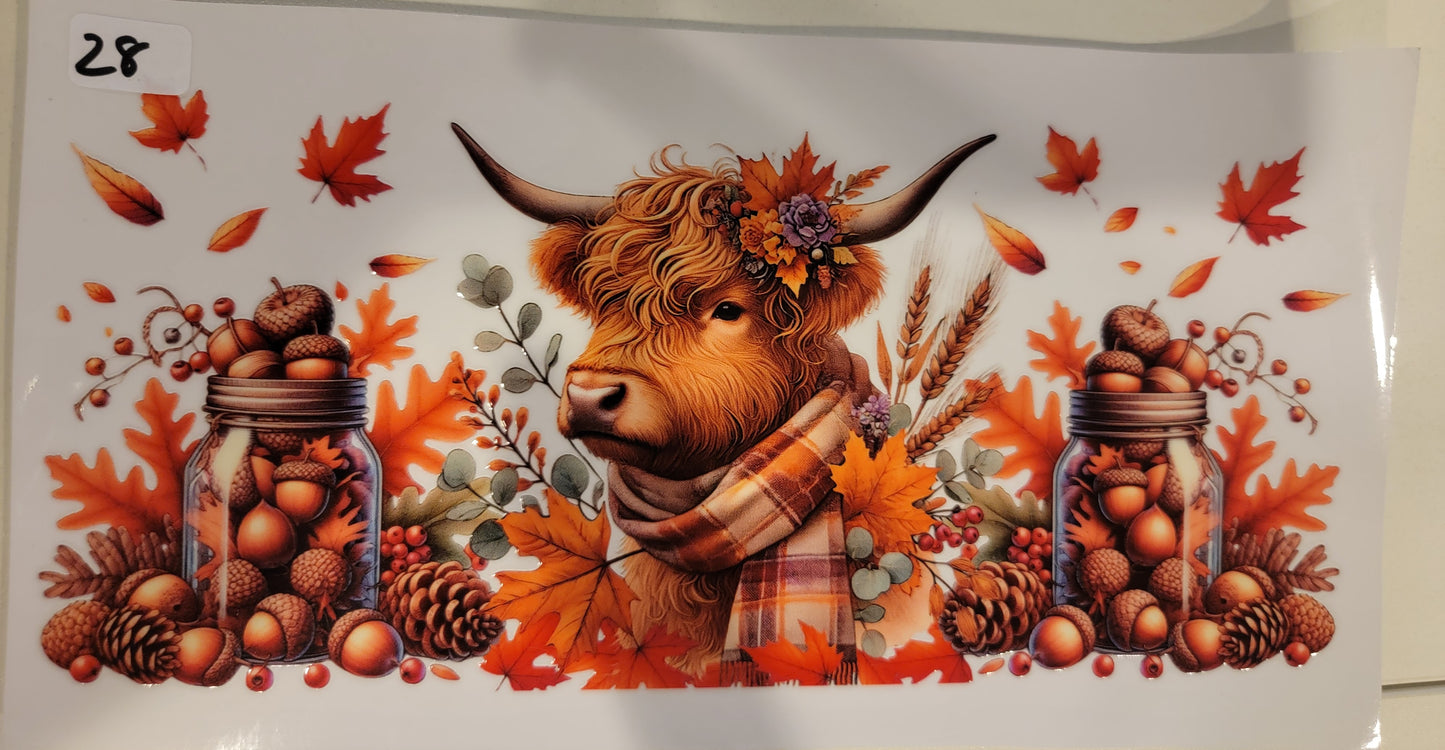 Highland Cows 28