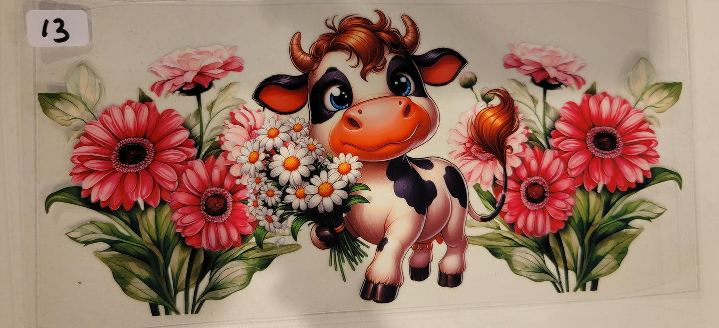 Highland Cows 13