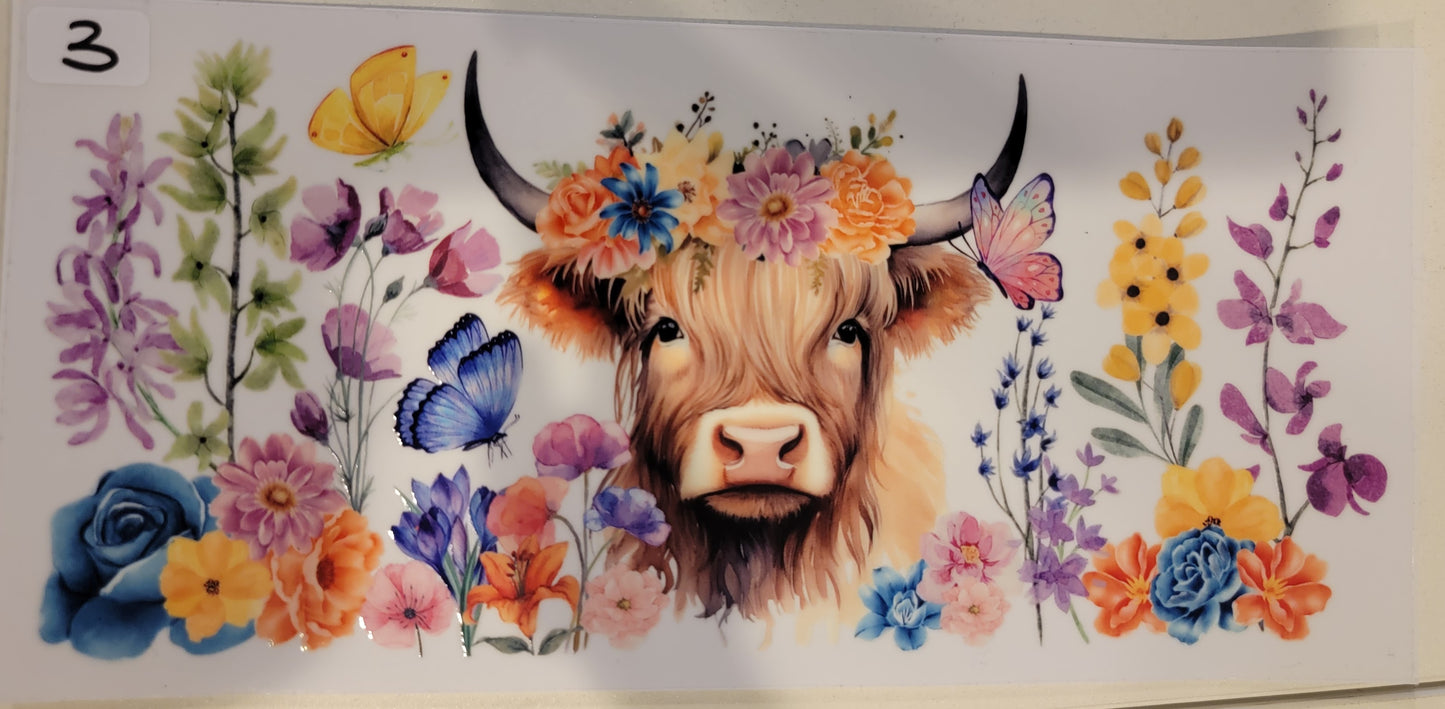 Highland Cows 3