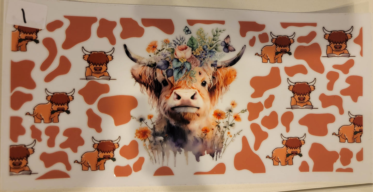 Highland Cows 1