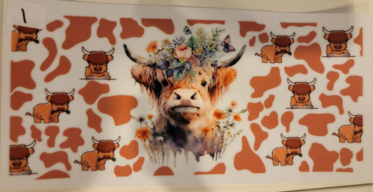 Highland Cows 1