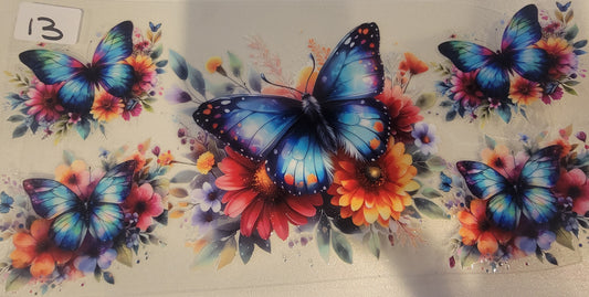 Butterflies, Insects & More 13