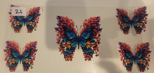 Butterflies, Insects & More 21
