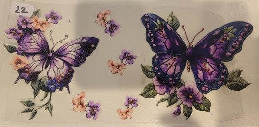 Butterflies, Insects & More 22
