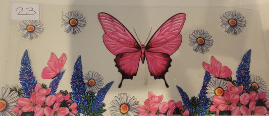 Butterflies, Insects & More 23