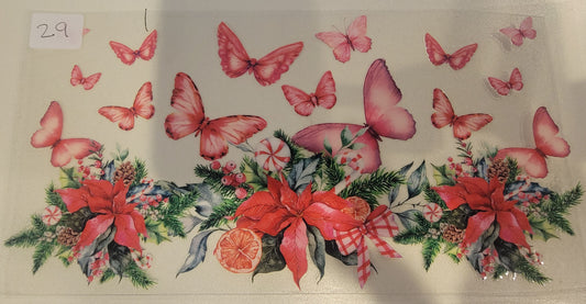 Butterflies, Insects & More 29