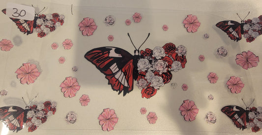 Butterflies, Insects & More 30