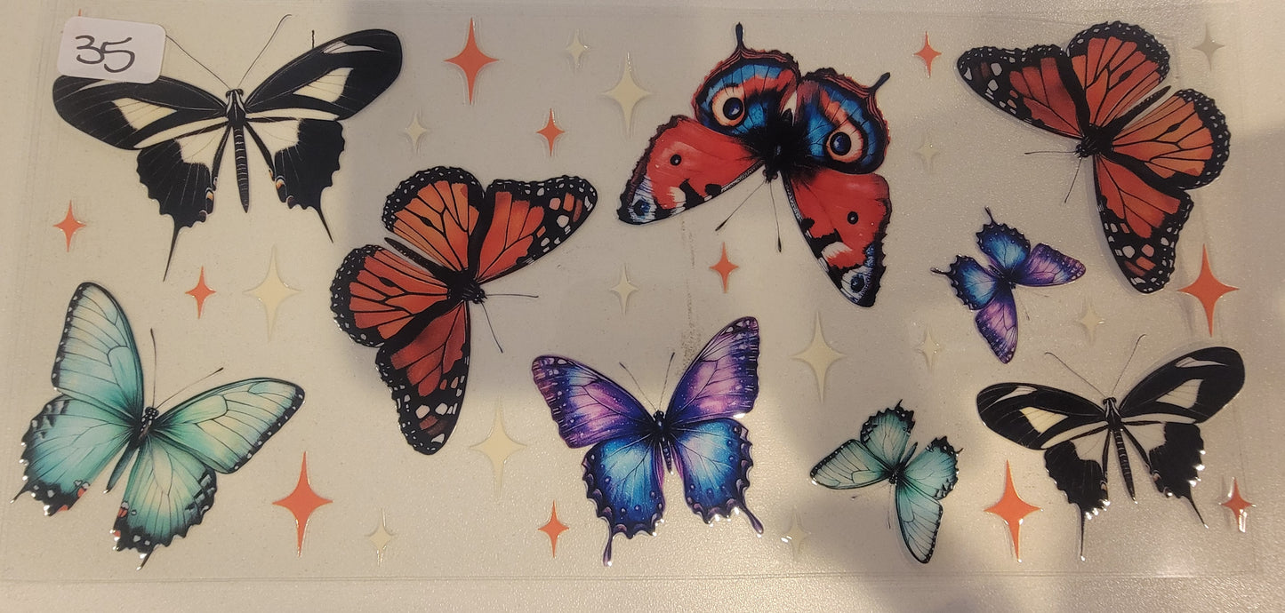 Butterflies, Insects & More 35