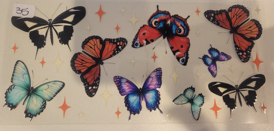 Butterflies, Insects & More 35
