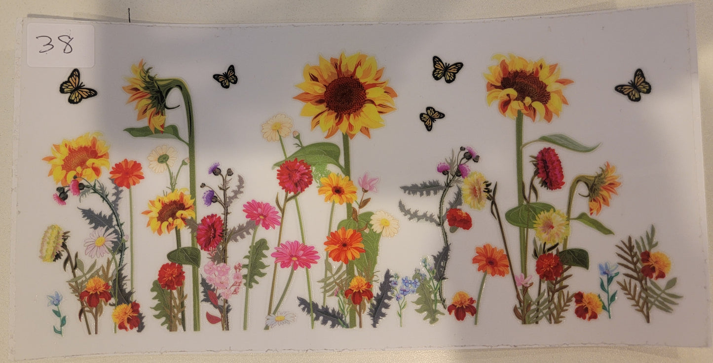 Butterflies, Insects & More 38