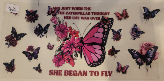 Butterflies, Insects & More 42