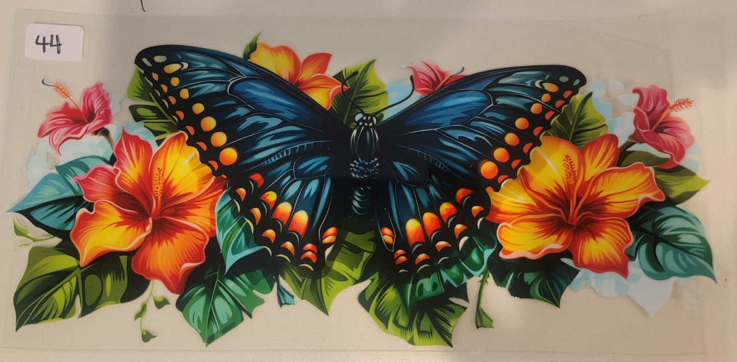 Butterflies, Insects & More 44