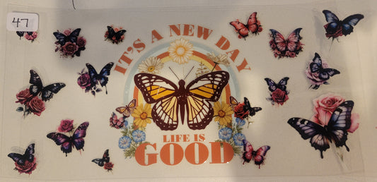 Butterflies, Insects & More 47