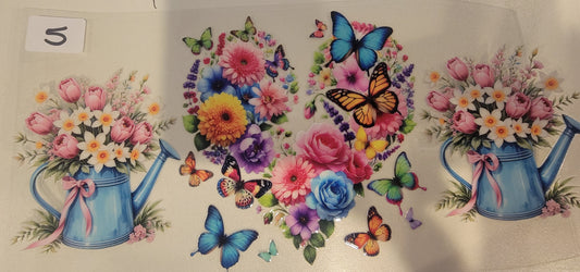 Butterflies, Insects & More 5