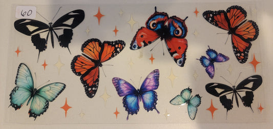 Butterflies, Insects & More 60