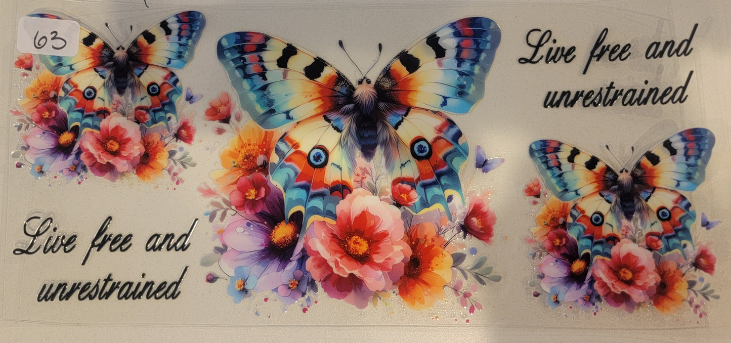 Butterflies, Insects & More 63