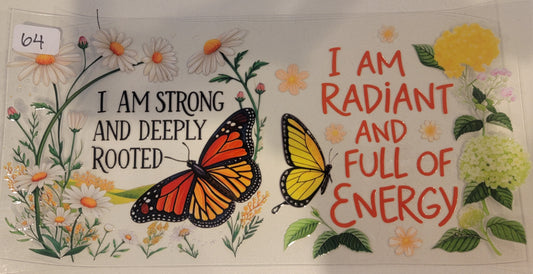 Butterflies, Insects & More 64