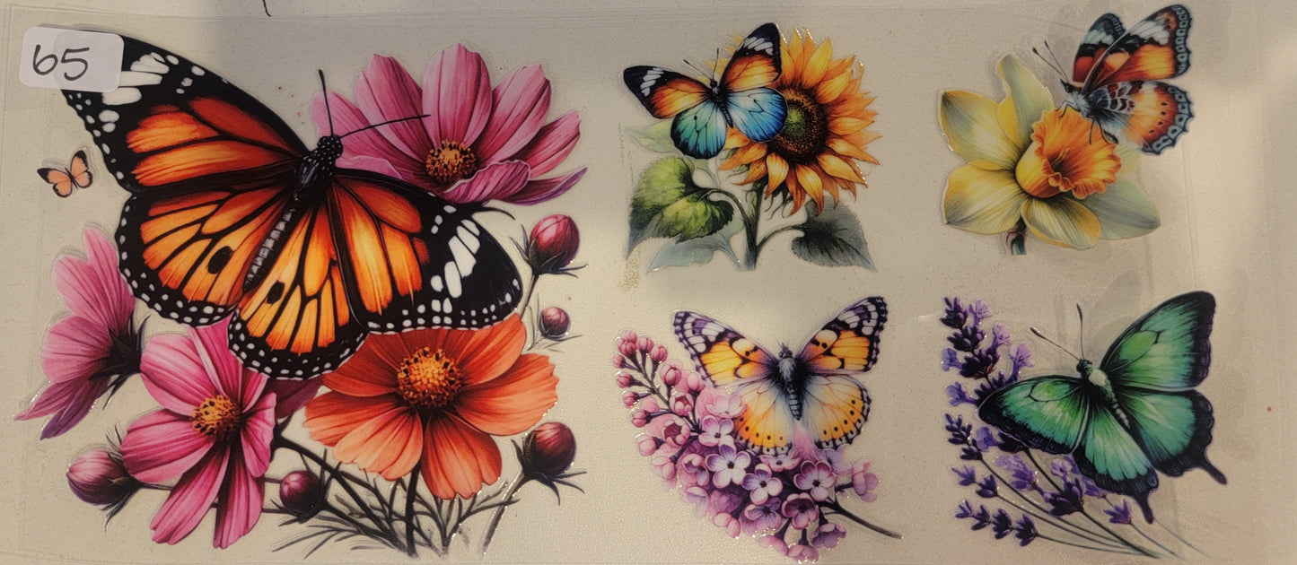 Butterflies, Insects & More 65